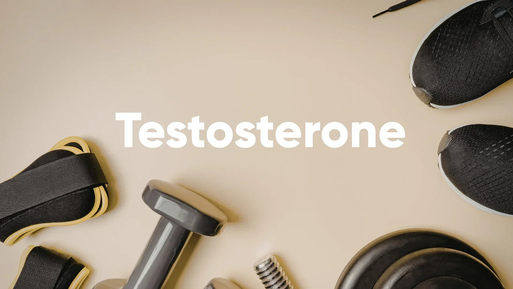 Cos'è il testosterone e come reagisce al cortisolo