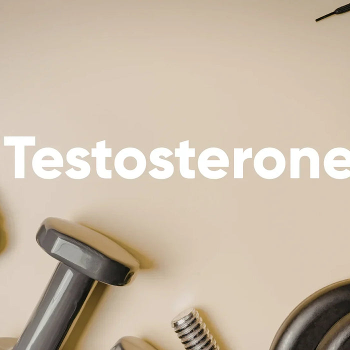 Cos'è il testosterone e come reagisce al cortisolo