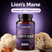 Oravita Lion's Mane, estratto di corpo fruttifero titolato al 30% di polisaccaridi