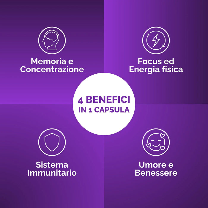 Lion's Mane: memoria e concentrazione, focus, sistema immunitario, umore