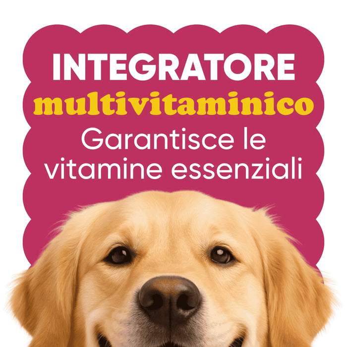 Hochwertiges Multivitamin für Hunde mit BARF-Ernährung, frei von tierischen Lockstoffen
