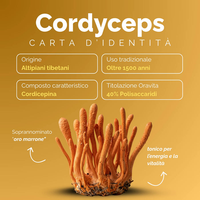 Carta d’identità del Cordyceps: altipiani tibetani, cordicepina, 40% polisaccaridi